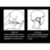 Casco Dinosaurio 3D talla M luz Led - Imagen 3