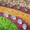 Botella Sensorial Spy Forest - Imagen 2