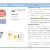 Cartas Bisous Dodo - Imagen 3
